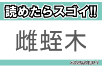 【読めたらスゴイ！】「雌蛭木」とは一体何のこと！？マングローブ林を作る樹木の一種ですが・・・この漢字を読めますか？