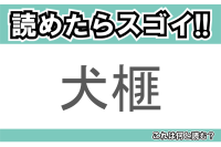 【読めたらスゴイ！】「犬榧」とは一体何のこと！？細長い形の葉が特徴的な植物ですが・・・この漢字を読めますか？