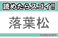 【読めたらスゴイ！】「落葉松」とは一体何のこと！？紅葉シーズンに美しい黄葉を見せてくれる木ですが・・・この漢字を読めますか？