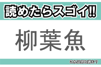 【読めたらスゴイ！】「柳葉魚」とは一体何のこと！？食卓やおつまみとしてもおなじみの魚ですが・・・この漢字を読めますか？