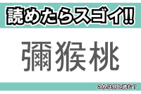 【読めたらスゴイ！】「彌猴桃」とは一体何のこと！？酸味と甘みの合わさった南国フルーツですが・・・この漢字を読めますか？