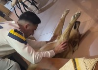 愛犬がのびの～び！飼い主さんにストレッチを施してもらってニッコリ！【海外・動画】