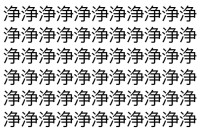 【脳トレ】「浄」の中に紛れて1つ違う文字がある！？あなたは何秒で探し出せるかな？？【違う文字を探せ！】