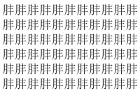 【脳トレ】「肨」の中に紛れて1つ違う文字がある！？あなたは何秒で探し出せるかな？？【違う文字を探せ！】