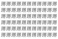 【脳トレ】「琾」の中に紛れて1つ違う文字がある！？あなたは何秒で探し出せるかな？？【違う文字を探せ！】