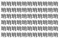 【脳トレ】「琑」の中に紛れて1つ違う文字がある！？あなたは何秒で探し出せるかな？？【違う文字を探せ！】