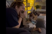 愛犬のおててをガブっ！飼い主さんのイタズラに愛犬からリアクションが飛び出す！【アメリカ・動画】