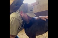 仔馬がハグを披露！「尊い」「なんて愛らしい子」の声【アメリカ・動画】