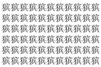 【脳トレ】「㺍」の中に紛れて1つ違う文字がある！？あなたは何秒で探し出せるかな？？【違う文字を探せ！】