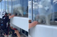 掃除中に手を止めてしまった高所清掃作業員さん。作業が中断したその理由は、ガラスの向こうに！！【海外・動画】