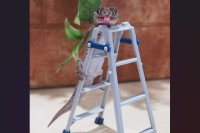 ハシゴを登るヤモリ。その姿がチャーミングだと反響「舌をぺろっと」「かわいさのアピールの仕方を分かってるね」