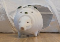 『蚊遣りブタ』とチンチラが合体！？一体化している姿にが話題「トコトコ歩いてそう」「一体感がすごい」