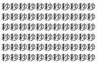 【脳トレ】「耖」の中に紛れて1つ違う文字がある！？あなたは何秒で探し出せるかな？？【違う文字を探せ！】