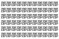 【脳トレ】「邵」の中に紛れて1つ違う文字がある！？あなたは何秒で探し出せるかな？？【違う文字を探せ！】
