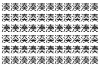 【脳トレ】「湊」の中に紛れて1つ違う文字がある！？あなたは何秒で探し出せるかな？？【違う文字を探せ！】