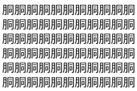 【脳トレ】「胴」の中に紛れて1つ違う文字がある！？あなたは何秒で探し出せるかな？？【違う文字を探せ！】