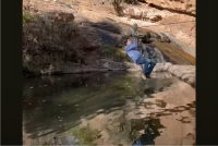 ここから入れる保険が・・あった！？水上を走るジップラインが途中で止まり、万事休すな場面に救世主が現れた！！【海外・動画】