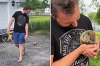 ドクタードリトル？男性の後ろをトコトコついて行くウッドチャック！よく懐いたペットかと思いきや、さっき偶然出会っただけだった！