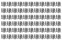 【脳トレ】「瑑」の中に紛れて1つ違う文字がある！？あなたは何秒で探し出せるかな？？【違う文字を探せ！】