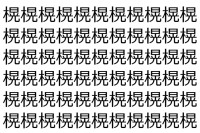 【脳トレ】「榥」の中に紛れて1つ違う文字がある！？あなたは何秒で探し出せるかな？？【違う文字を探せ！】