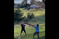 木の下で毛布を広げる人たち。2人の視線の先には・・木から降りられなくなったネコが！【アメリカ・】