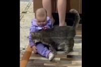 頼もしいベビーシッター！ぐずる赤ちゃんをあやすのは・・・ネコ！？【海外・動画】