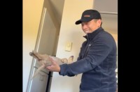 抱き上げられたダックスフントの子犬。足もピンと伸ばしてフリーズしちゃっている！？【アメリカ・動画】