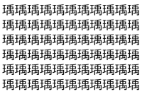 【脳トレ】「瑀」の中に紛れて1つ違う文字がある！？あなたは何秒で探し出せるかな？？【違う文字を探せ！】