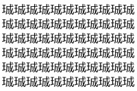 【脳トレ】「珹」の中に紛れて1つ違う文字がある！？あなたは何秒で探し出せるかな？？【違う文字を探せ！】