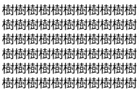 【脳トレ】「樹」の中に紛れて1つ違う文字がある！？あなたは何秒で探し出せるかな？？【違う文字を探せ！】