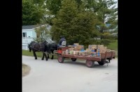 荷物の配達するのは・・馬！？ユニークな配達風景が話題に【アメリカ・動画】