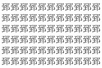【脳トレ】「郅」の中に紛れて1つ違う文字がある！？あなたは何秒で探し出せるかな？？【違う文字を探せ！】