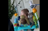仲良くぴょんぴょん！バウンサーに一緒に乗っている赤ちゃんとネコ【アメリカ・動画】