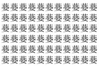 【脳トレ】「嬊」の中に紛れて1つ違う文字がある！？あなたは何秒で探し出せるかな？？【違う文字を探せ！】