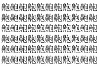 【脳トレ】「䶌」の中に紛れて1つ違う文字がある！？あなたは何秒で探し出せるかな？？【違う文字を探せ！】