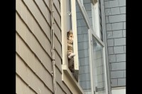 今すぐ駆け付けたい！帰宅した飼い主さんに窓から身を乗り出そうとおててを伸ばすネコ【海外・動画】