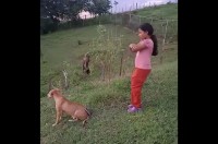 愛犬の背中は便利なスマホスタンド！？女の子がスマホを立てかけてダンス動画の撮影開始！！【海外・動画】