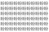 【脳トレ】「盼」の中に紛れて1つ違う文字がある！？あなたは何秒で探し出せるかな？？【違う文字を探せ！】