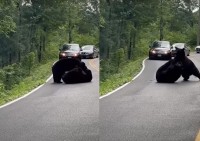 路上での喧嘩を捉えた映像がスゴイ！あまりの迫力に車も近づけず渋滞まで発生！