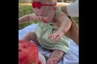 スイカのケーキに夢中な赤ちゃん！引き離されるたびに「もっと食べたい！」と猛アピール！？【海外・動画】