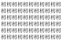 【脳トレ】「杒」の中に紛れて1つ違う文字がある！？あなたは何秒で探し出せるかな？？【違う文字を探せ！】