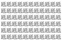 【脳トレ】「瓱」の中に紛れて1つ違う文字がある！？あなたは何秒で探し出せるかな？？【違う文字を探せ！】