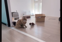 ナイススライディング！ドリフトするようにスライディングを決めて現れたサイベリアンに反響