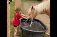 一緒にバシャバシャ！女の子と馬は水のかけ合いっこ中！【海外・動画】