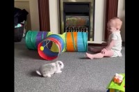 トンネルを自由に進むウサギ。その様子に赤ちゃんがキャッキャと大はしゃぎ！【海外・動画】
