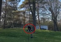 【衝撃映像】庭にある大きな木の伐採をミスっちゃった