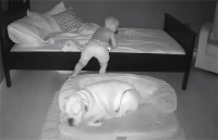 ベッドで寝ているはずの赤ちゃんが毎朝ワンコの横に！？不思議に思い監視カメラで確認するとその理由がわかった！【過去の人気記事】