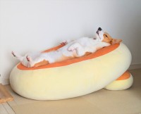 大きなクッションに横になっているコーギー。くつろぎご飯待つ姿に反響「クッションと一体化してますね」「めっちゃビーチ感」