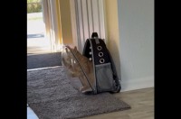 キャリーバッグから脱出を目論むネコ。夢中で窓を引っ掻いているけど・・最初から外には自由に出れるよ？【アメリカ・動画】