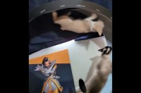 キャットホイールで逆方向に進もうとするネコの兄妹。その結果・・、妹がグルっと大回転！？【アメリカ・動画】